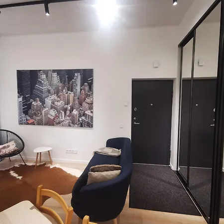 Small Loft Type * Vilnius