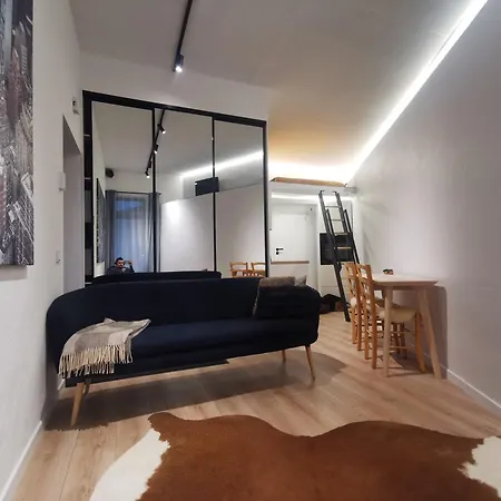 Small Loft Type Apartment Vilnius