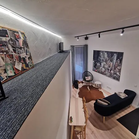 Small Loft Type * ヴィリニュス