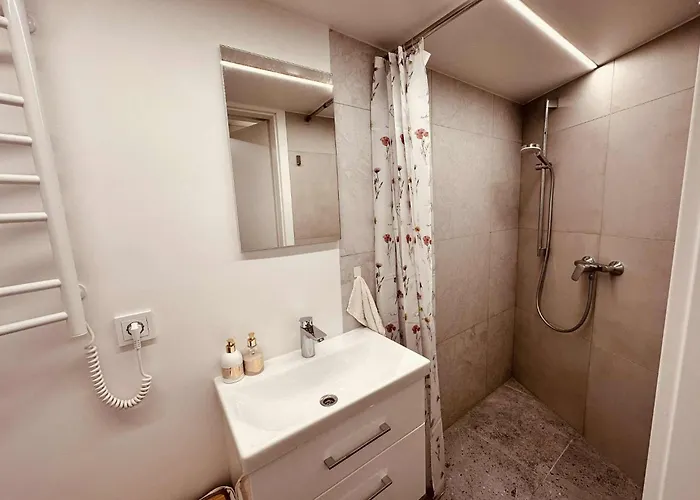 Small Loft Type Apartamento Vilnius