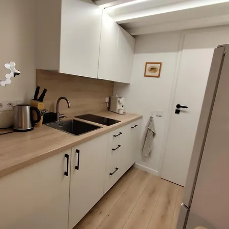 Small Loft Type Apartman