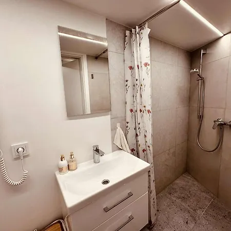 Small Loft Type Apartman Vilnius